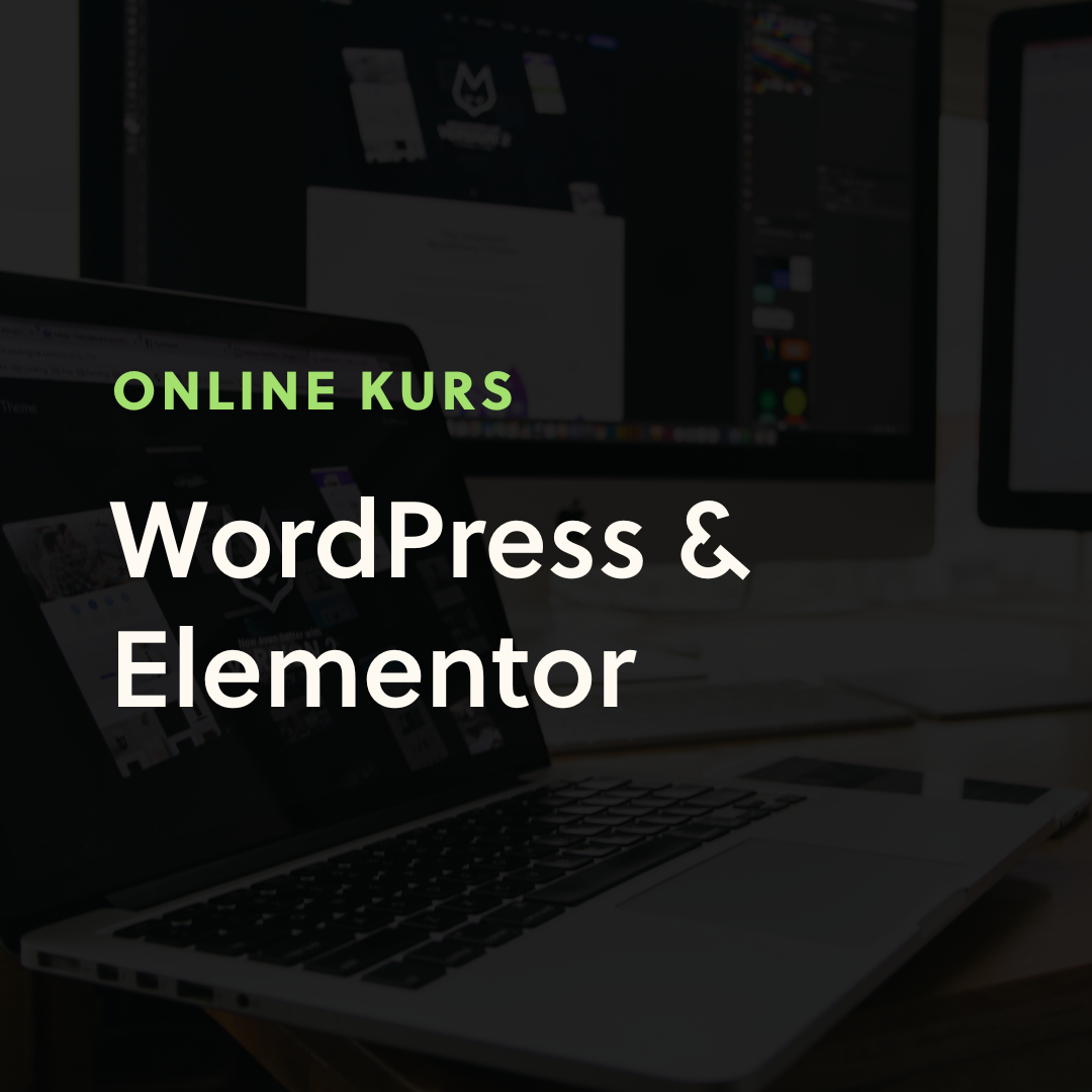 Online Kurs Webdesign (mit WordPress & Elementor)